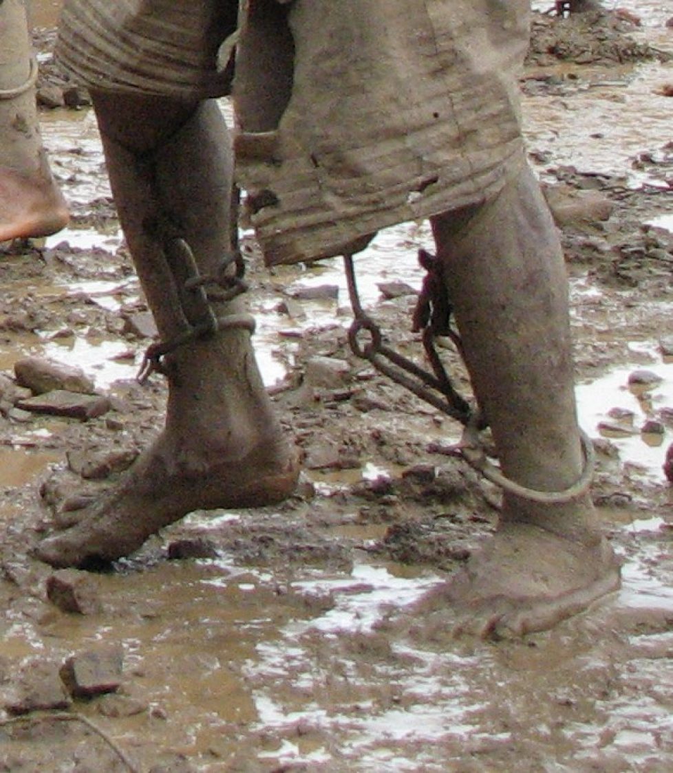 schiavo2