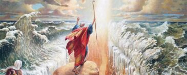 moses7