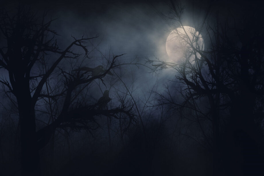 Illustration,Of,Night,Ravens,On,A,Trees,Background.